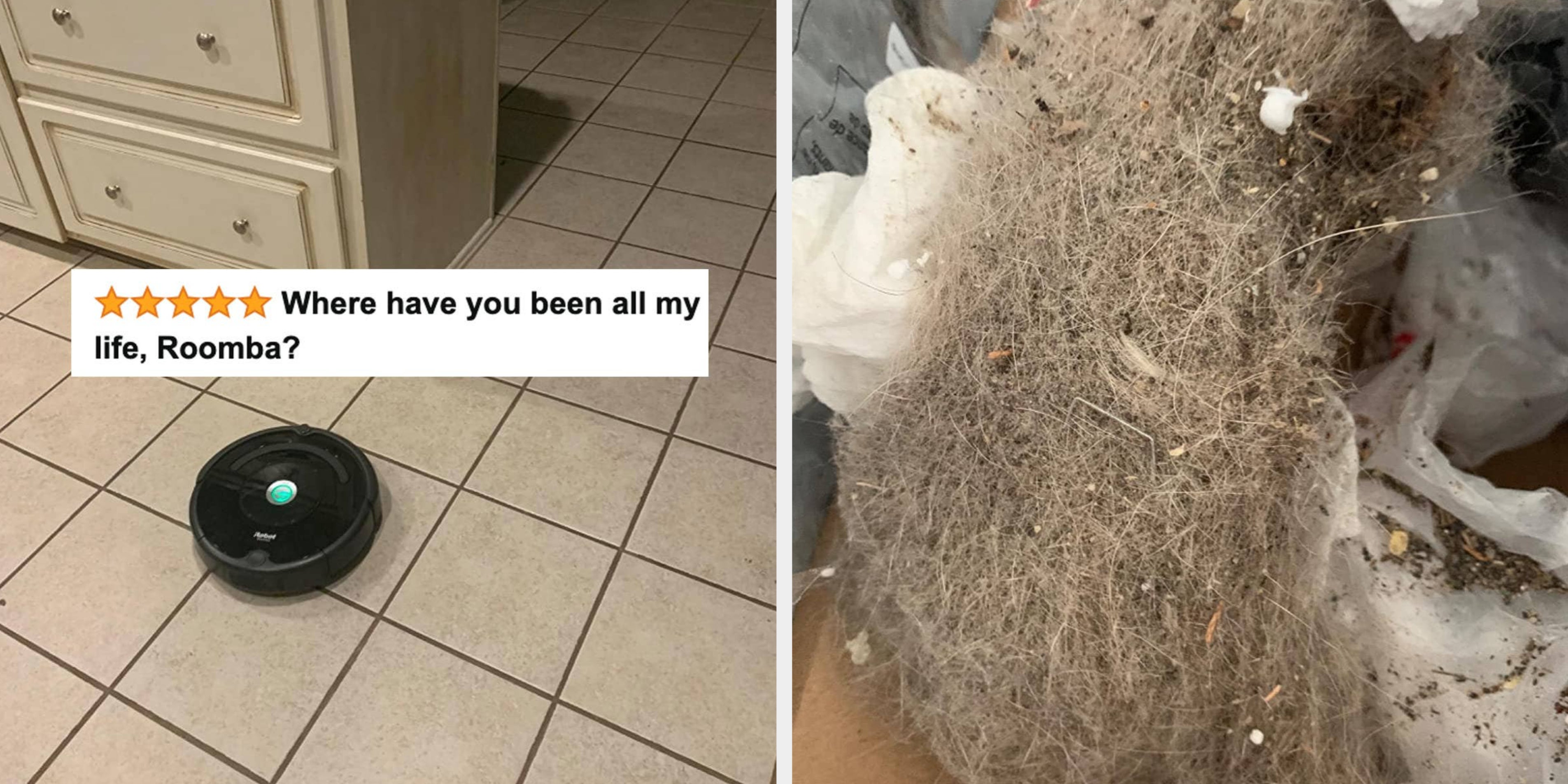 Image of this social media content