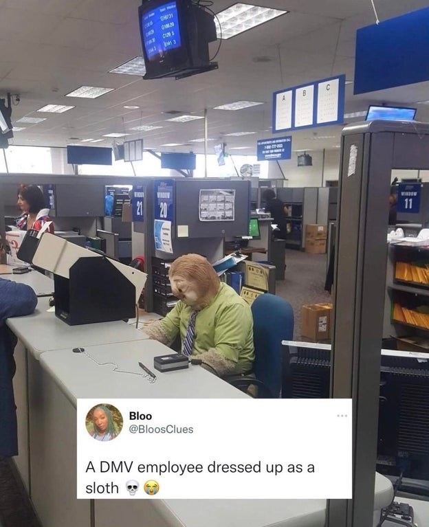 dmv worker dressed as a sloth