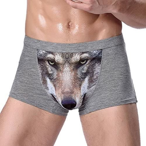 front of boxers with wolf face