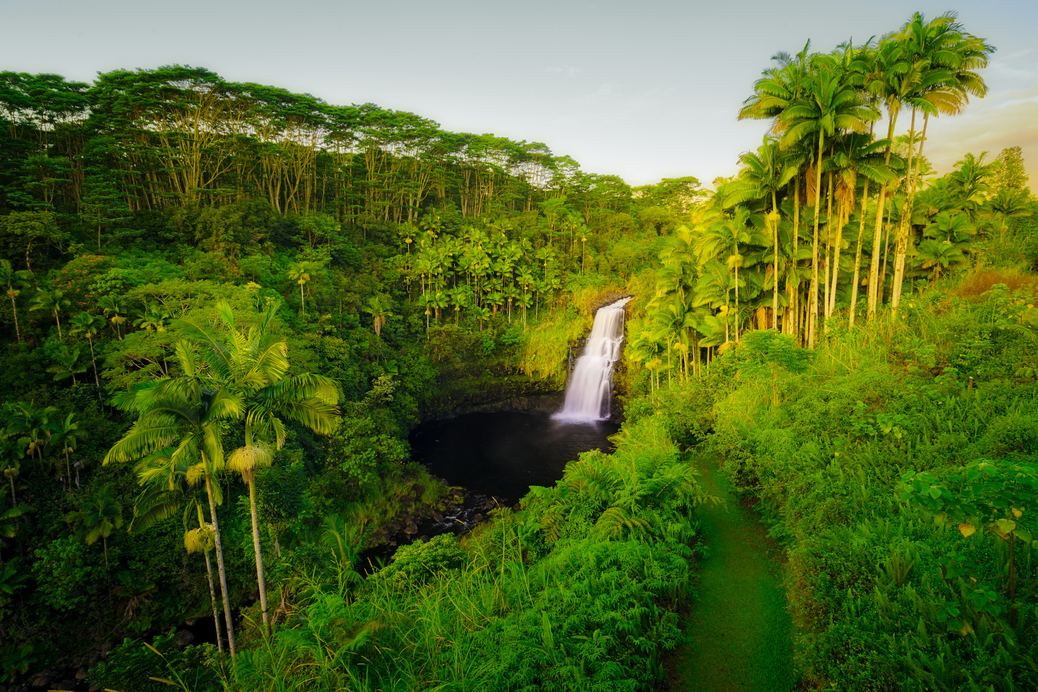 A waterfall surrounded by lush forest