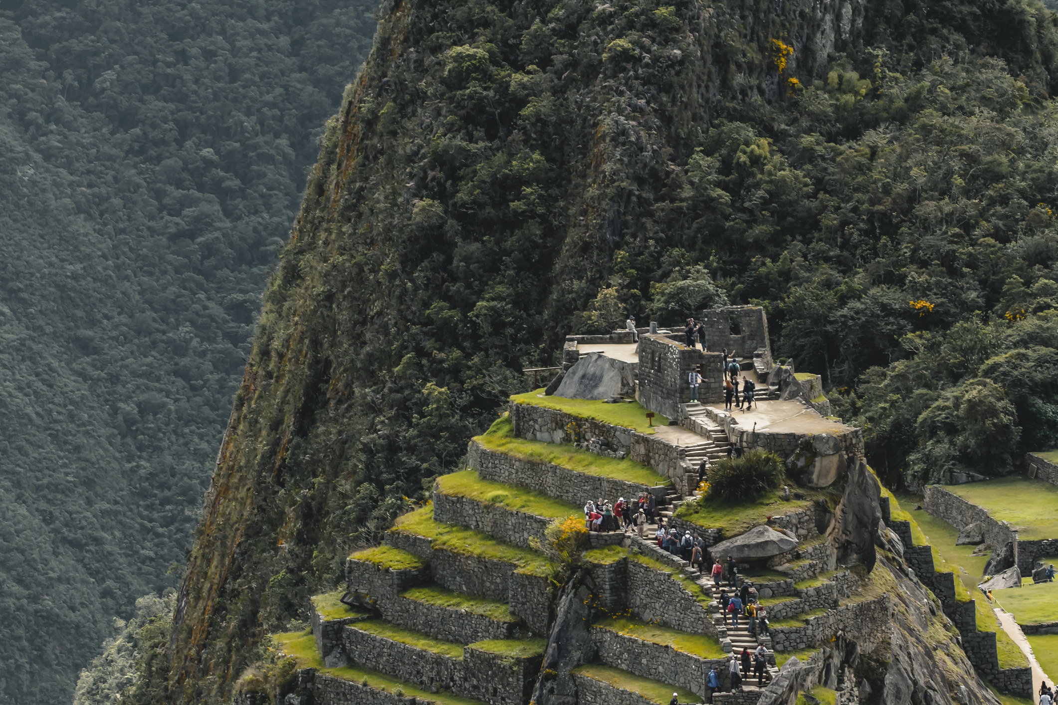 Tourists climbing Machu Picchu