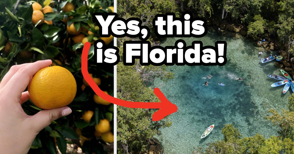 These Are The 16 Things You Should Do In Florida,