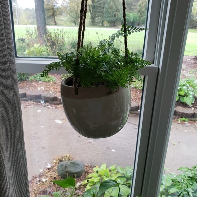 reviewer photo of the hanging planter in white in front of a window