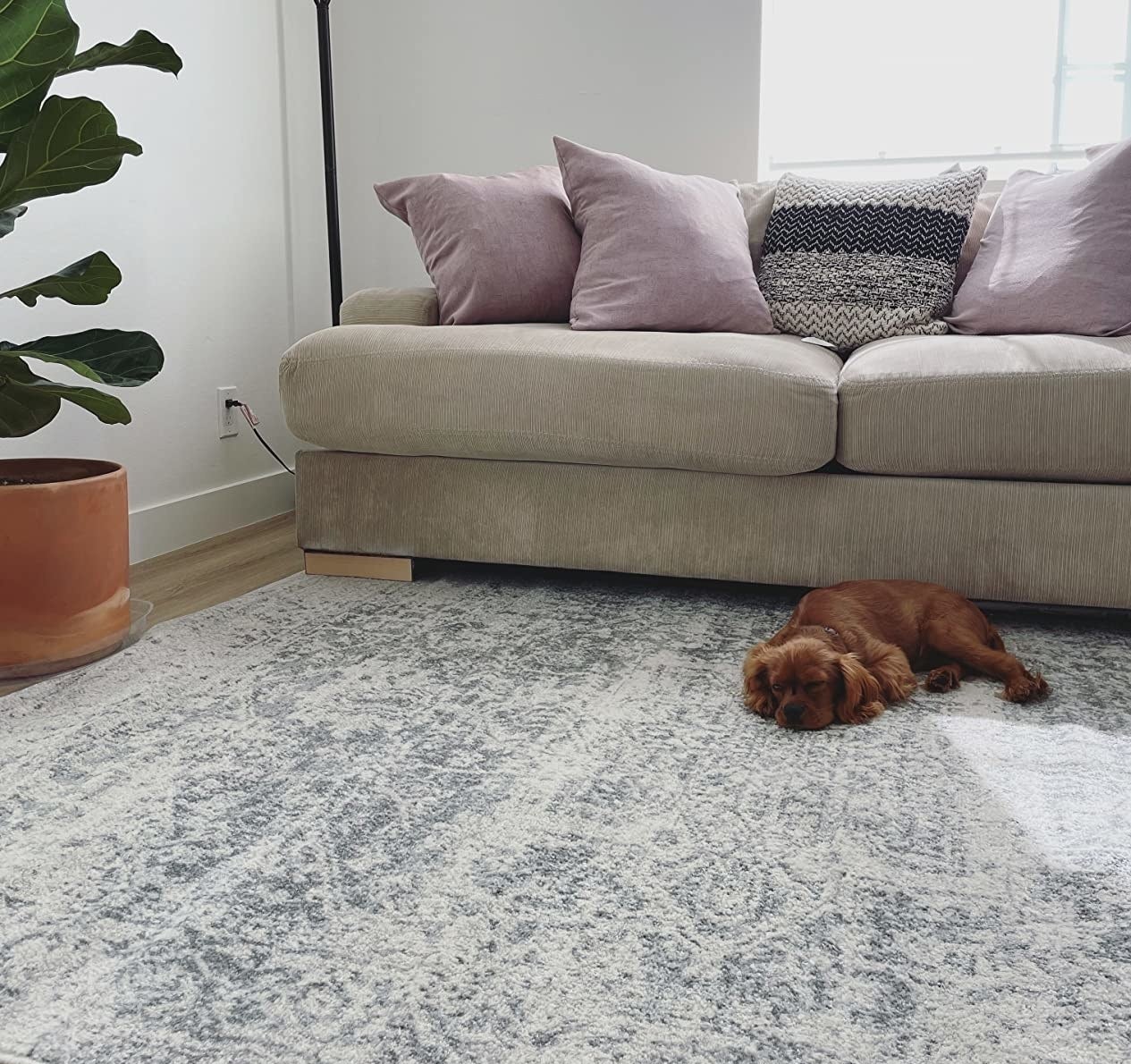 reviewer image of the grey and off-white rug