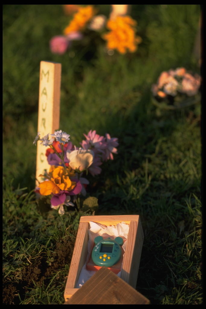 A closeup of a dead Tamagotchi in a shallow grave