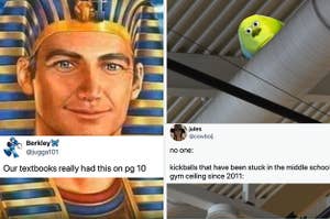 tweet saying "our textbooks really had this on page 10" with a picture of a white egyptian and the 2-eyed Mike from Monsters Inc Meme but in a gym ceiling captioned "kickballs that have been stuck in the middle school gym ceiling since 2011"