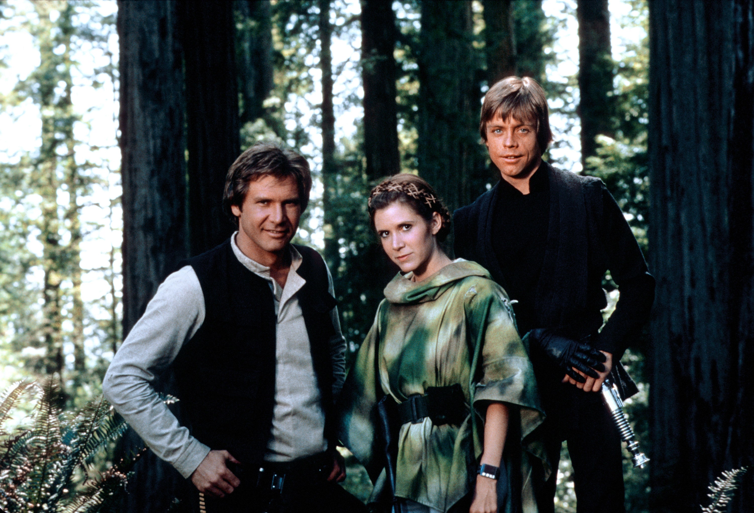 Han, Leia, and Luke in a forest
