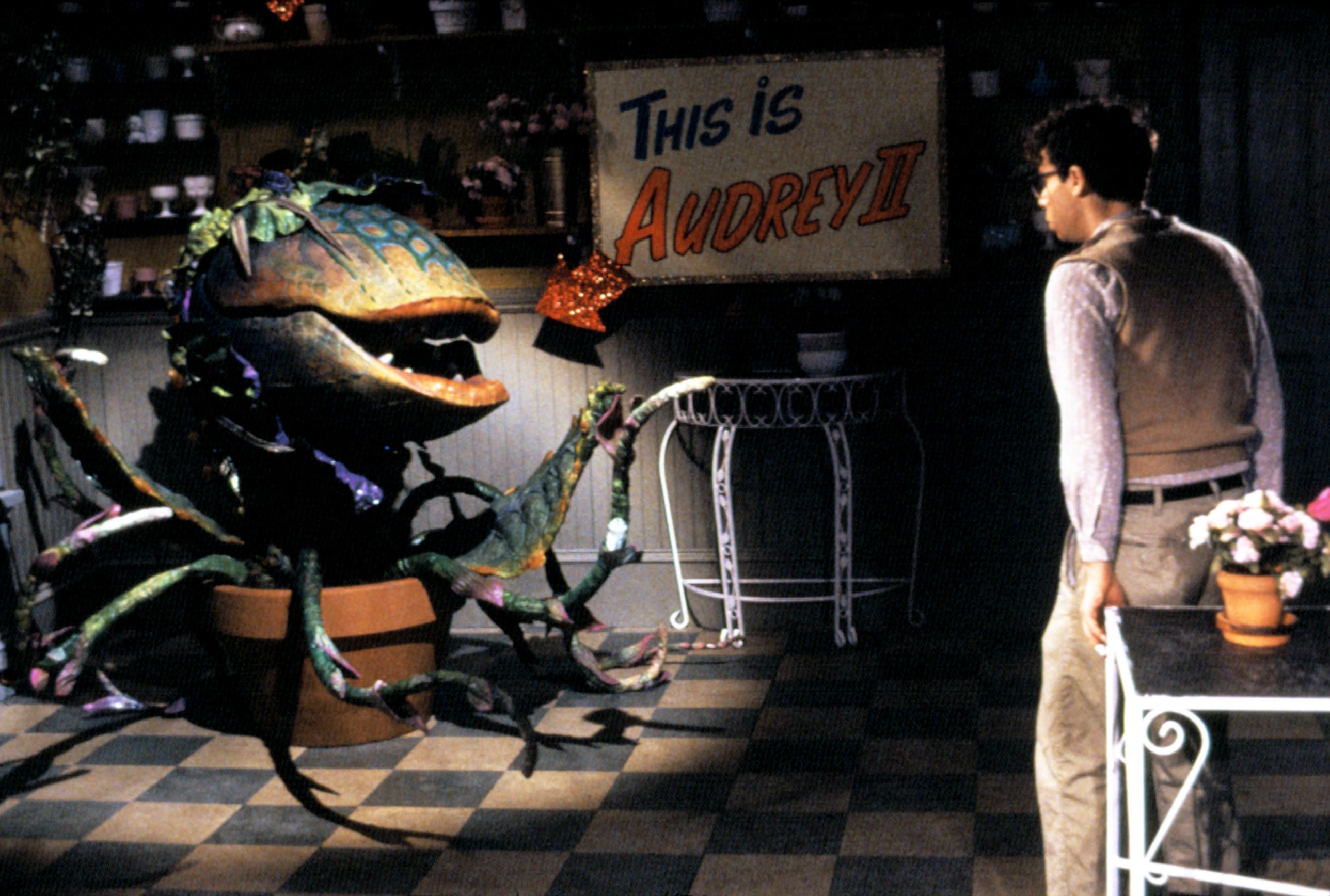 Seymour talks to Audrey II