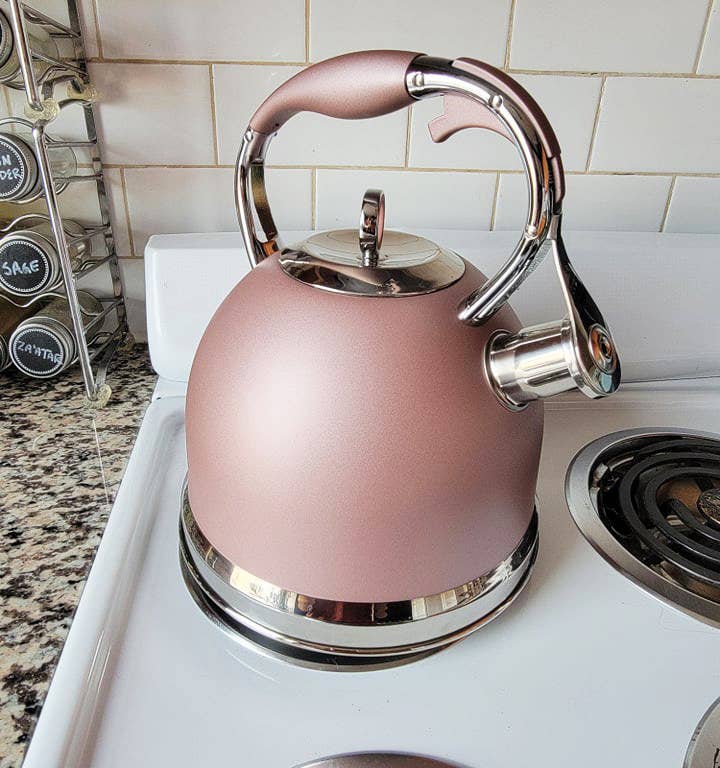 Paris Hilton Whistling Stovetop Tea Kettle,Stainless Steel with