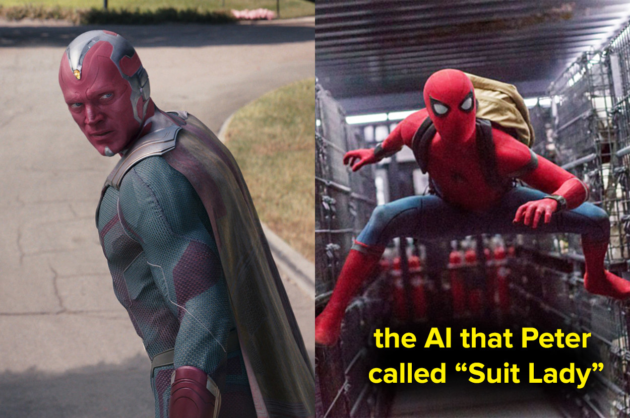 Vision and the AI Peter called &quot;Suit Lady&quot;