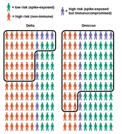 graphic displaying the risk of different populations to Omicron and Delta COVID variants