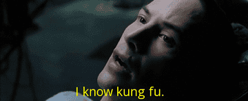GIF of Keanu in the first Matrix movie saying, I know kung fu