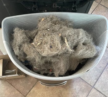 the same reviewer showing how much dust and pet fur they picked up with the touchless vacuum