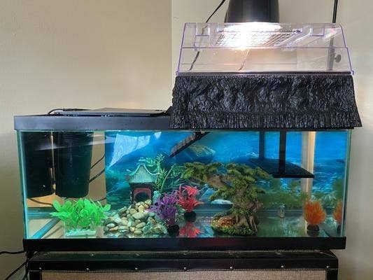 A reviewer&#x27;s image of a above-tank basking platform over a reptile terrarium
