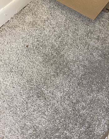 the same carpet now completely clean from the stain