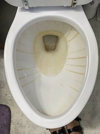 a reviewer's toilet looking dirty