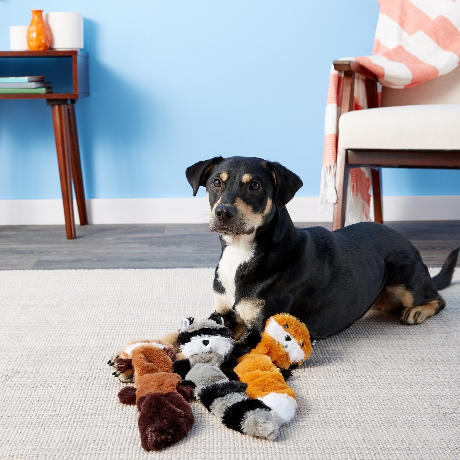 a dog posing with the three toys