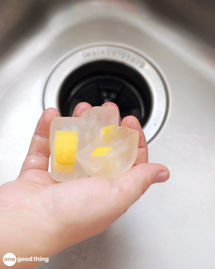 Lemon ice cubes going into the garbage disposal