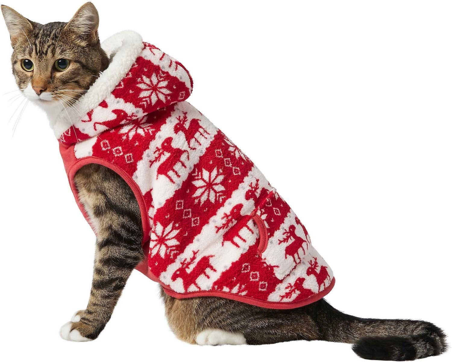 cat in a red and white fair isle fleece hoodie