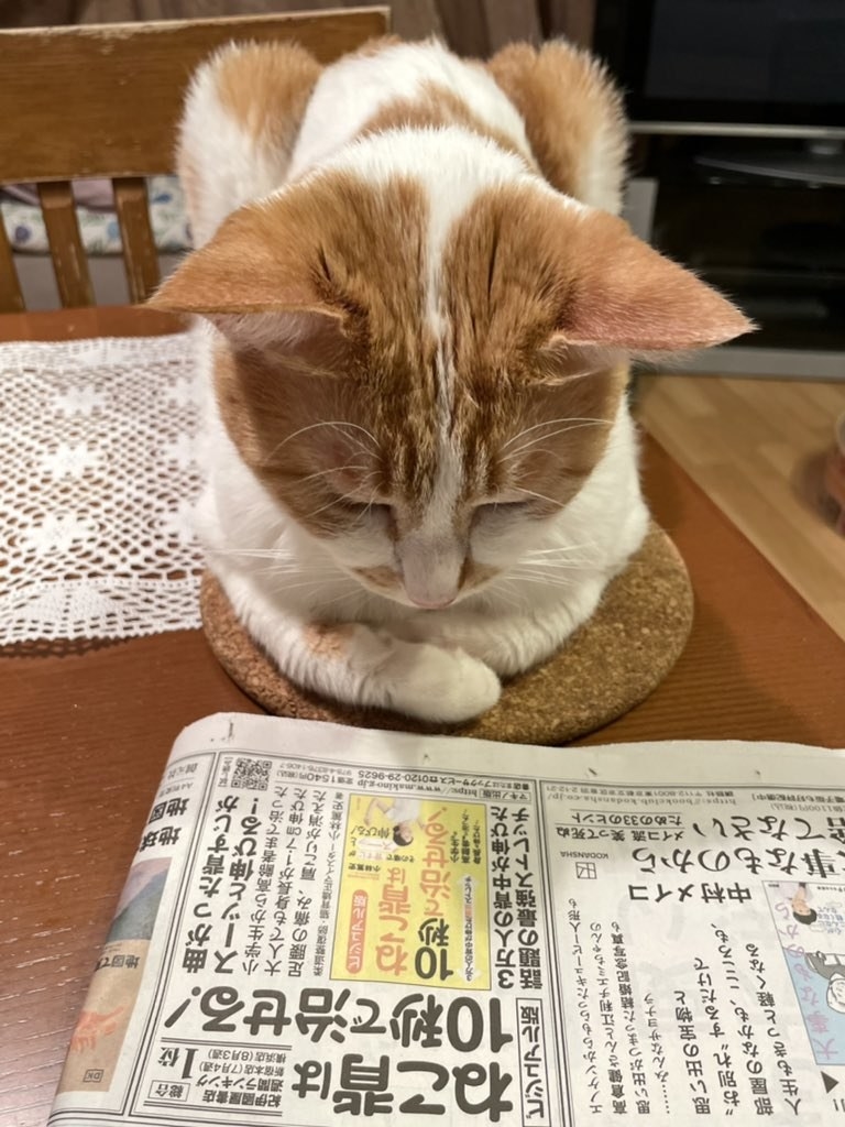 43ビジュアル版 ねこ背は10秒で治せる! - 住まい