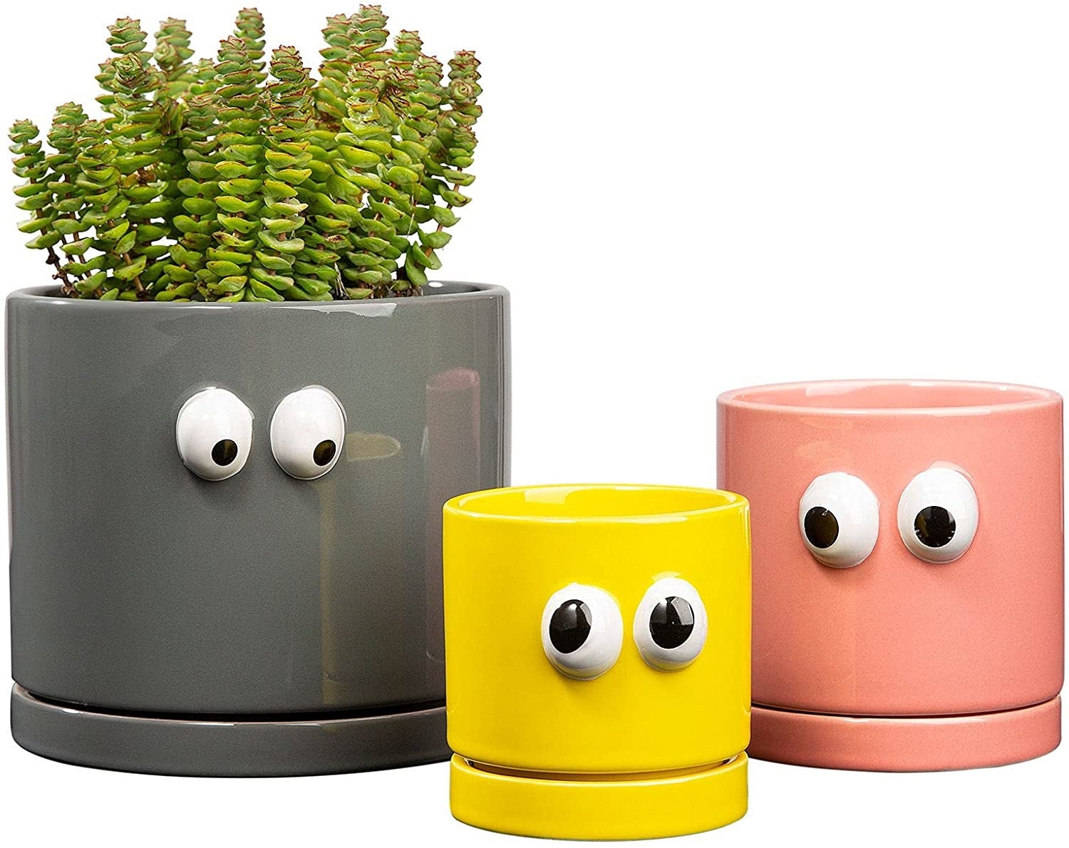 three differently sized plant pots with googly eyes on them