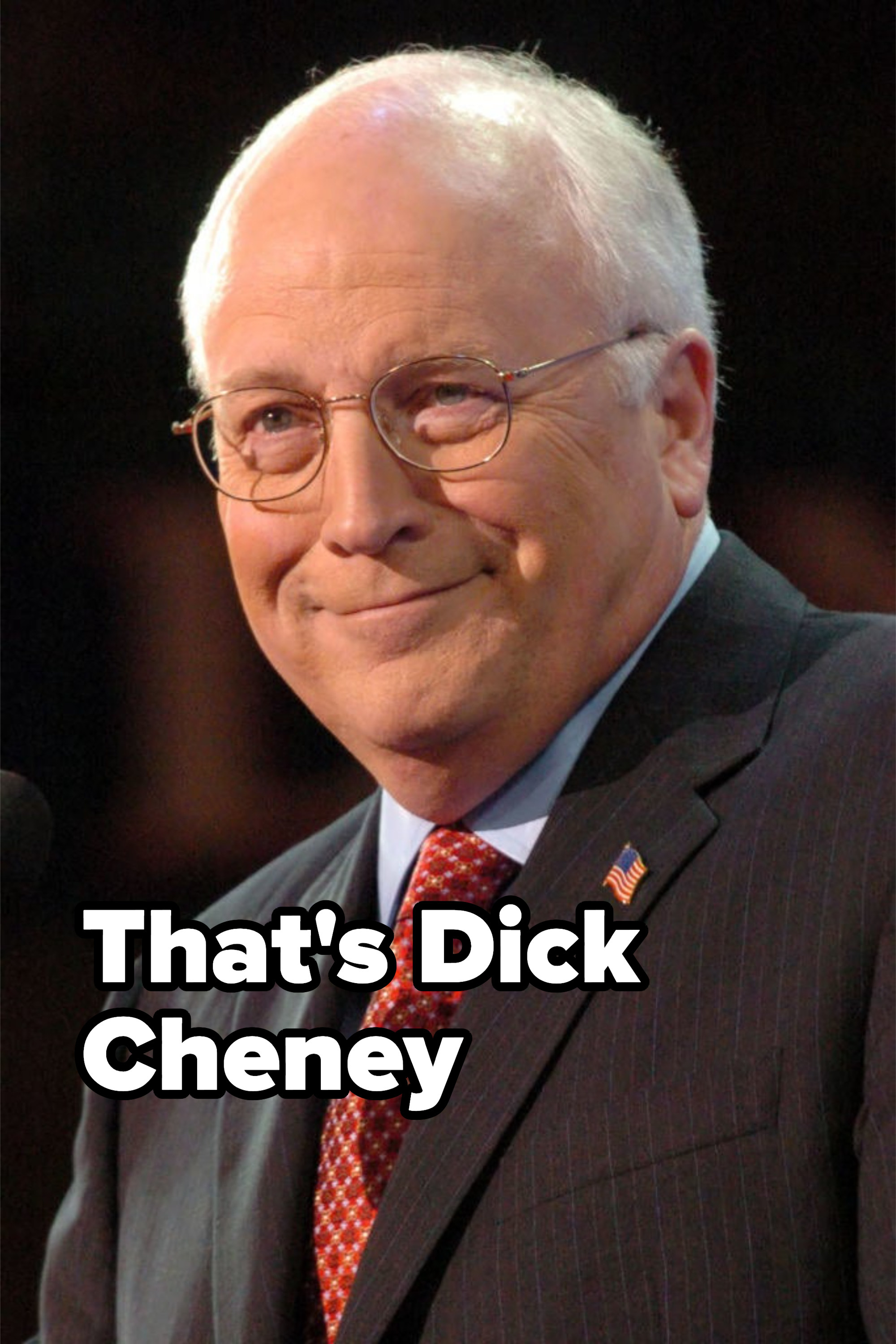 dick cheney with a sly smile