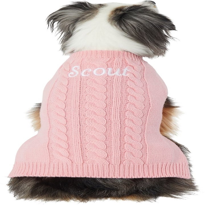 dog wearing a pink sweater that says "Scout"