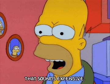 Homer saying &quot;that sounds expensive&quot; on the Simpsons