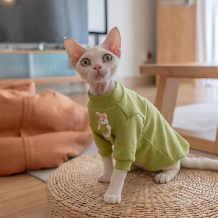 a cat wearing the bunny sweater in green