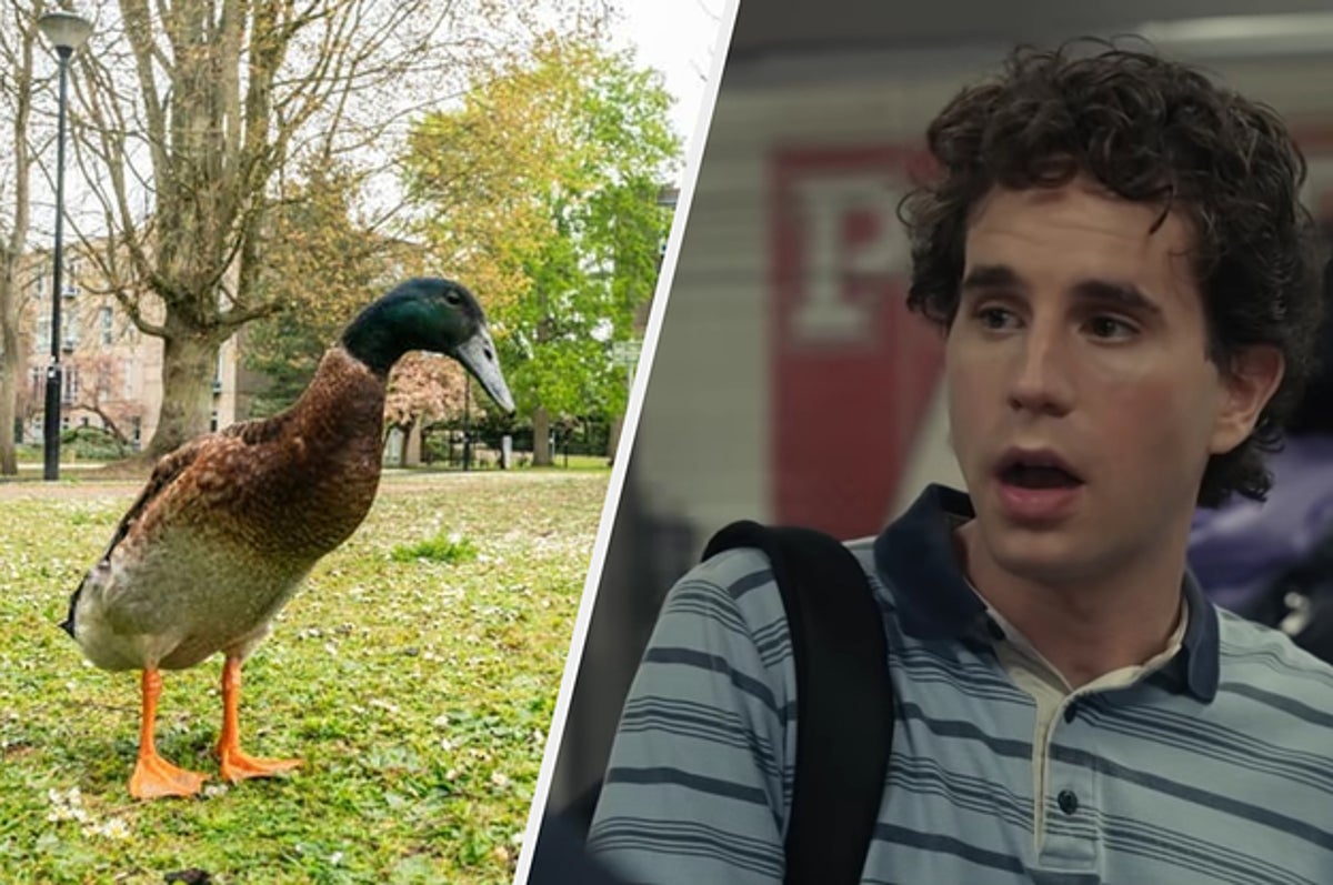 22 Of The Best News Corrections In 2021