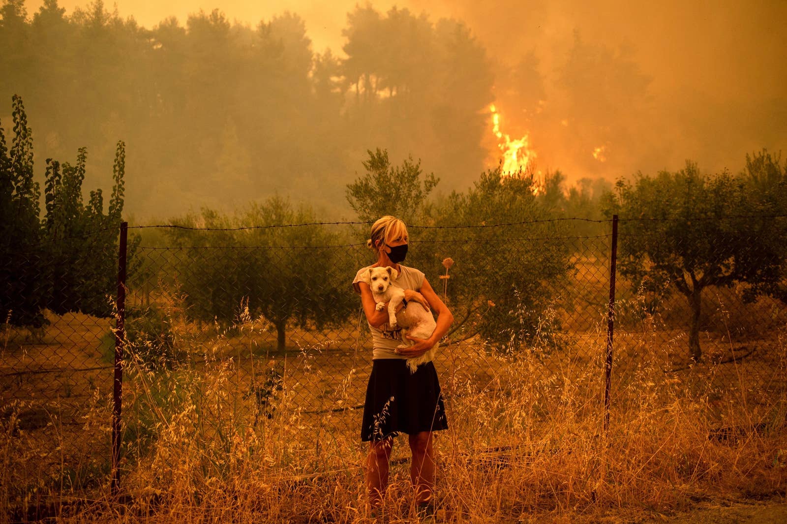 a woman holds a dog in front of a fence with fire behind her