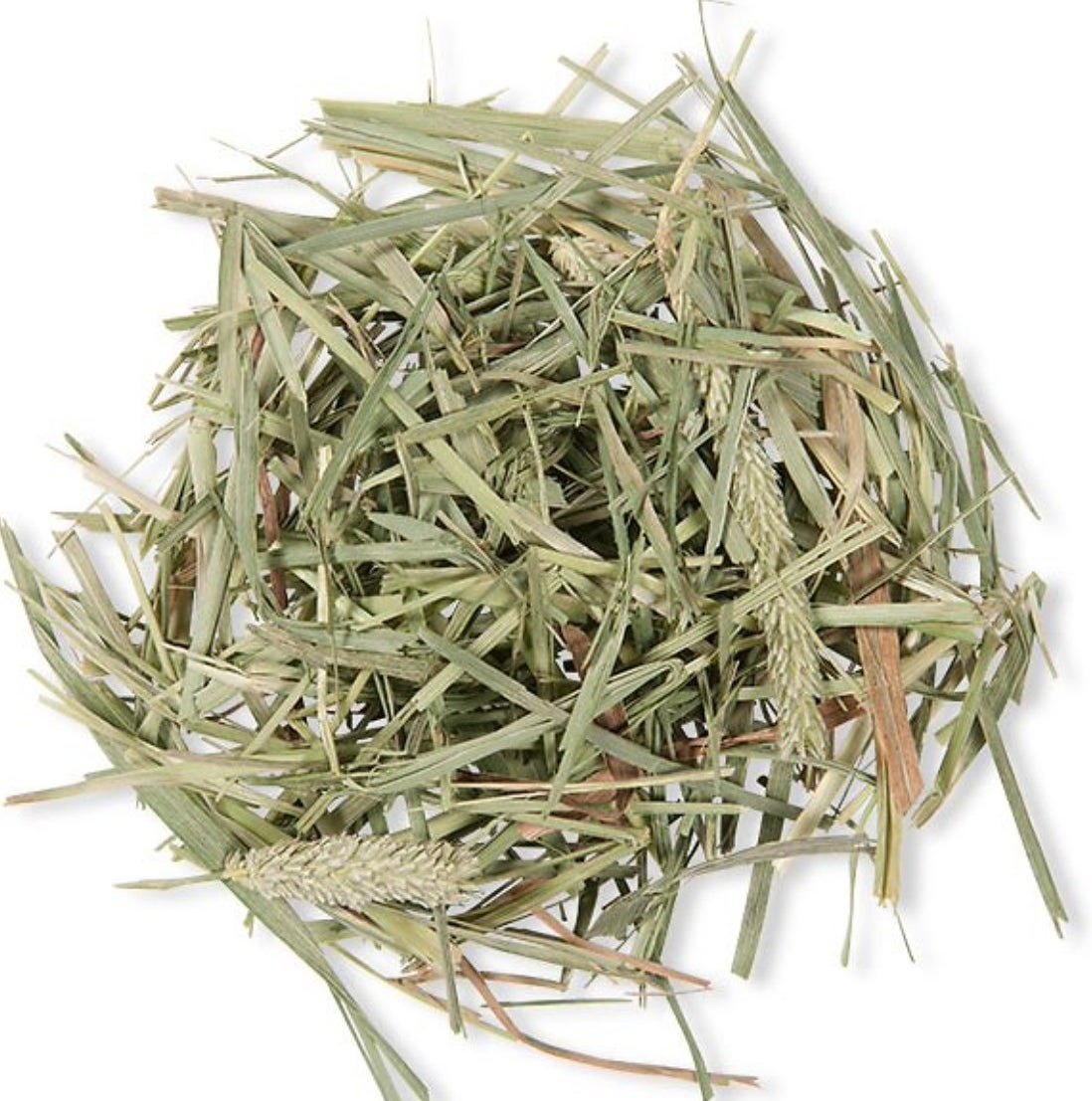 A pile of green hay
