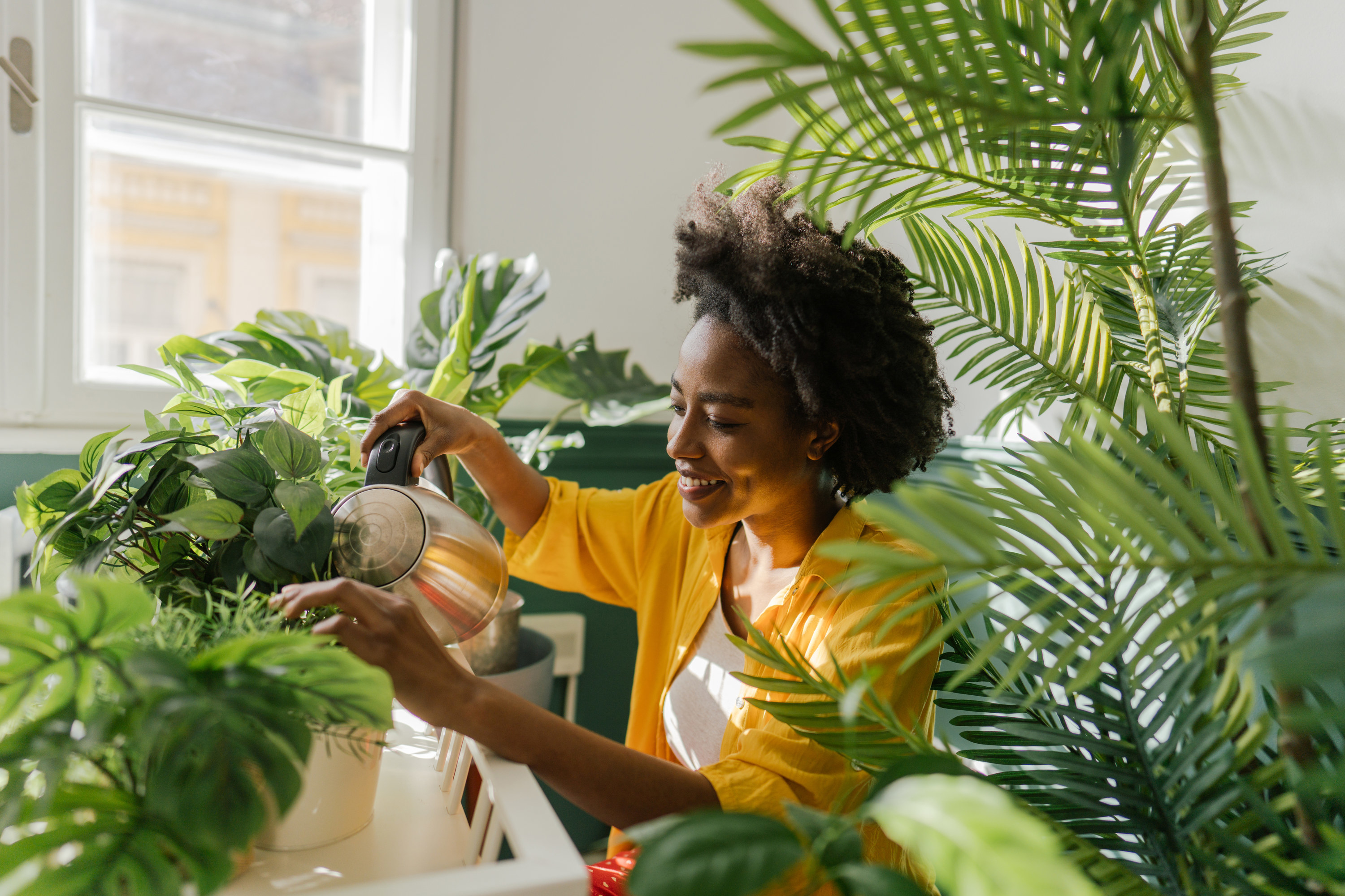 Woman watering numerous houseplants in a bright room