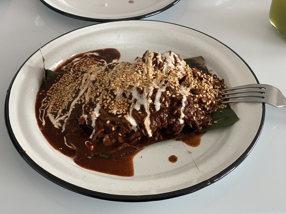Shredded Turkey breast with mole poblano and sesame seeds