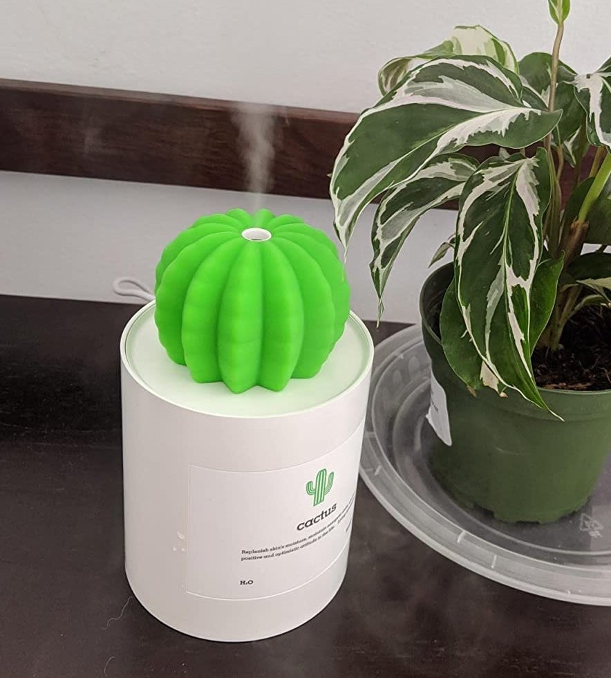 a reviewer using the  humidifier next to a plant