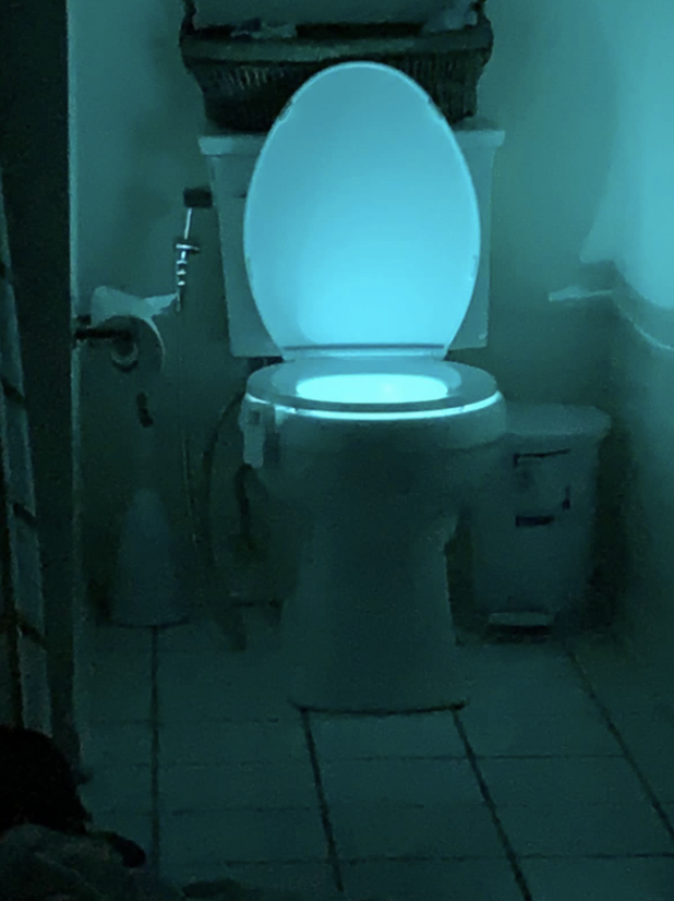 toilet with bowl lit up so you can see the whole bathroom