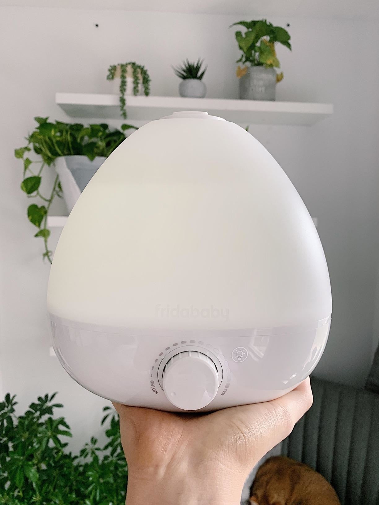 11 Best Cool Mist Humidifiers To Hydrate Your Home 2022