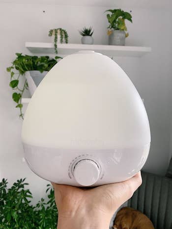 reviewer photo holding humidifier in palm of hand