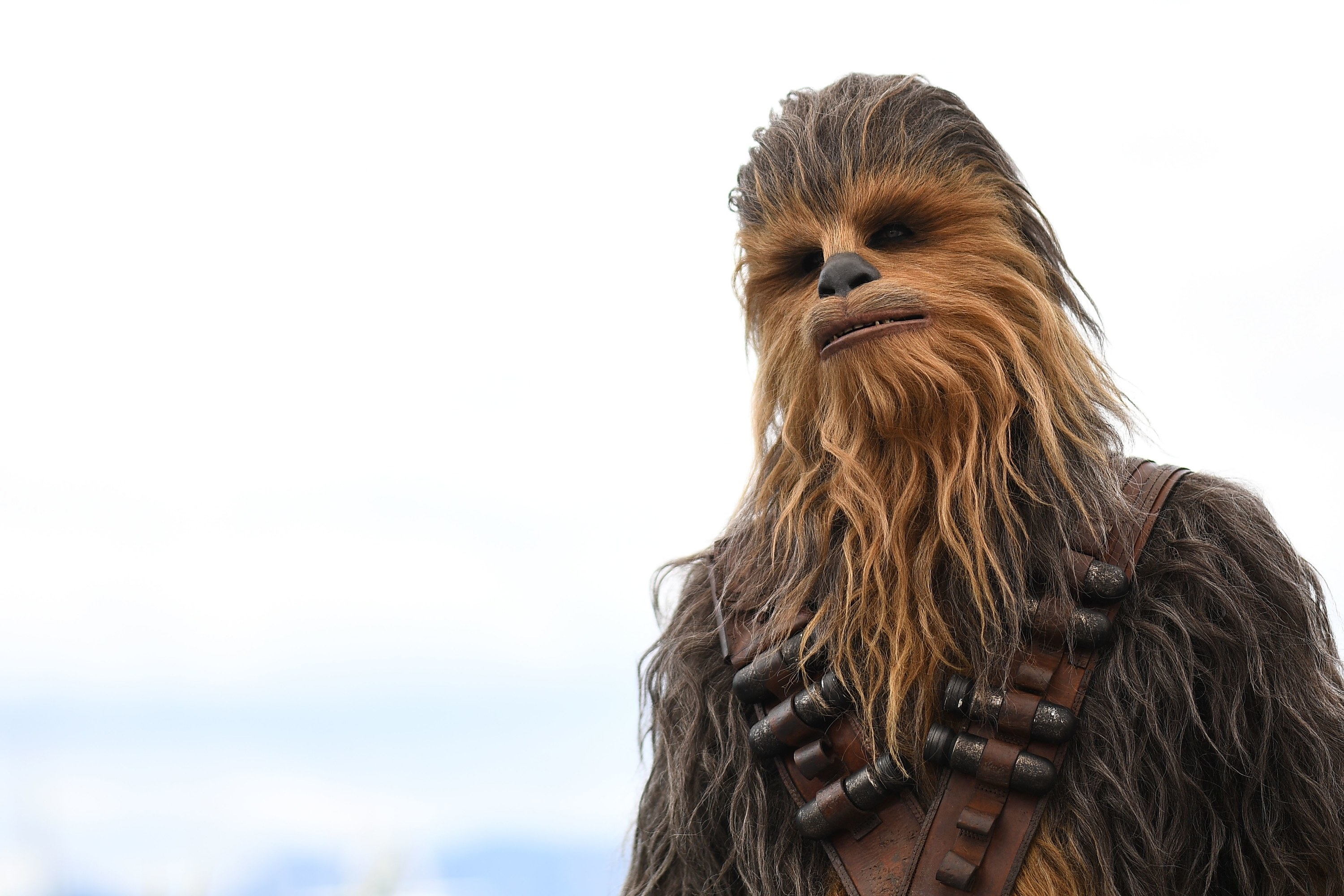 Chewbacca posing for a photocall for &quot;Solo: A Star Wars Story&quot; at Cannes Film Festival