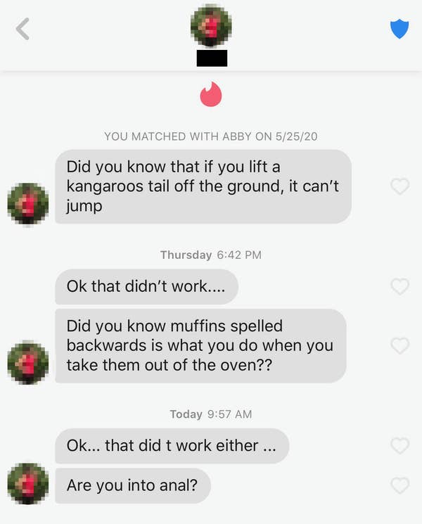a screenshot of a convo on tinder