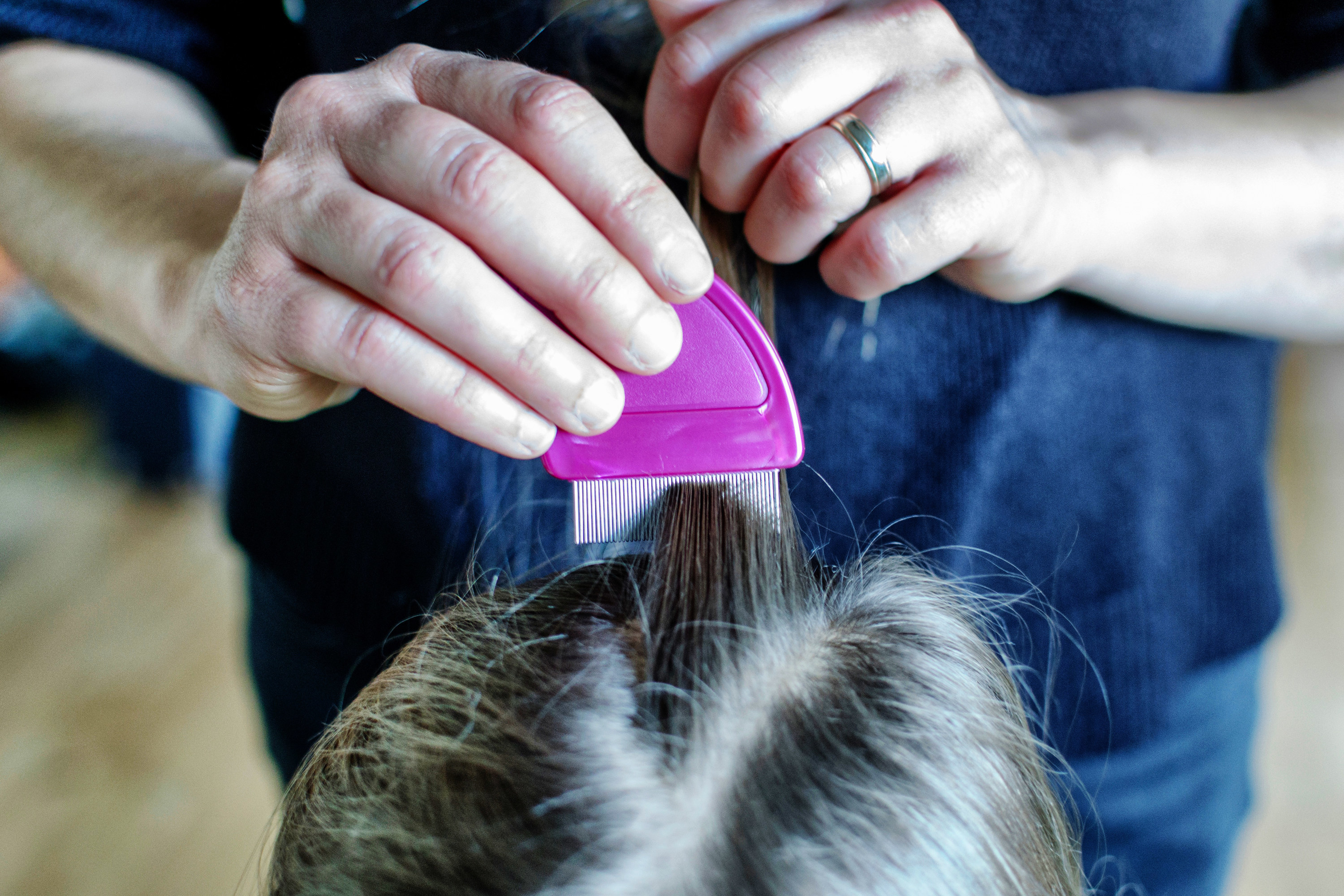 adult brushing through child&#x27;s hair with a lice comb