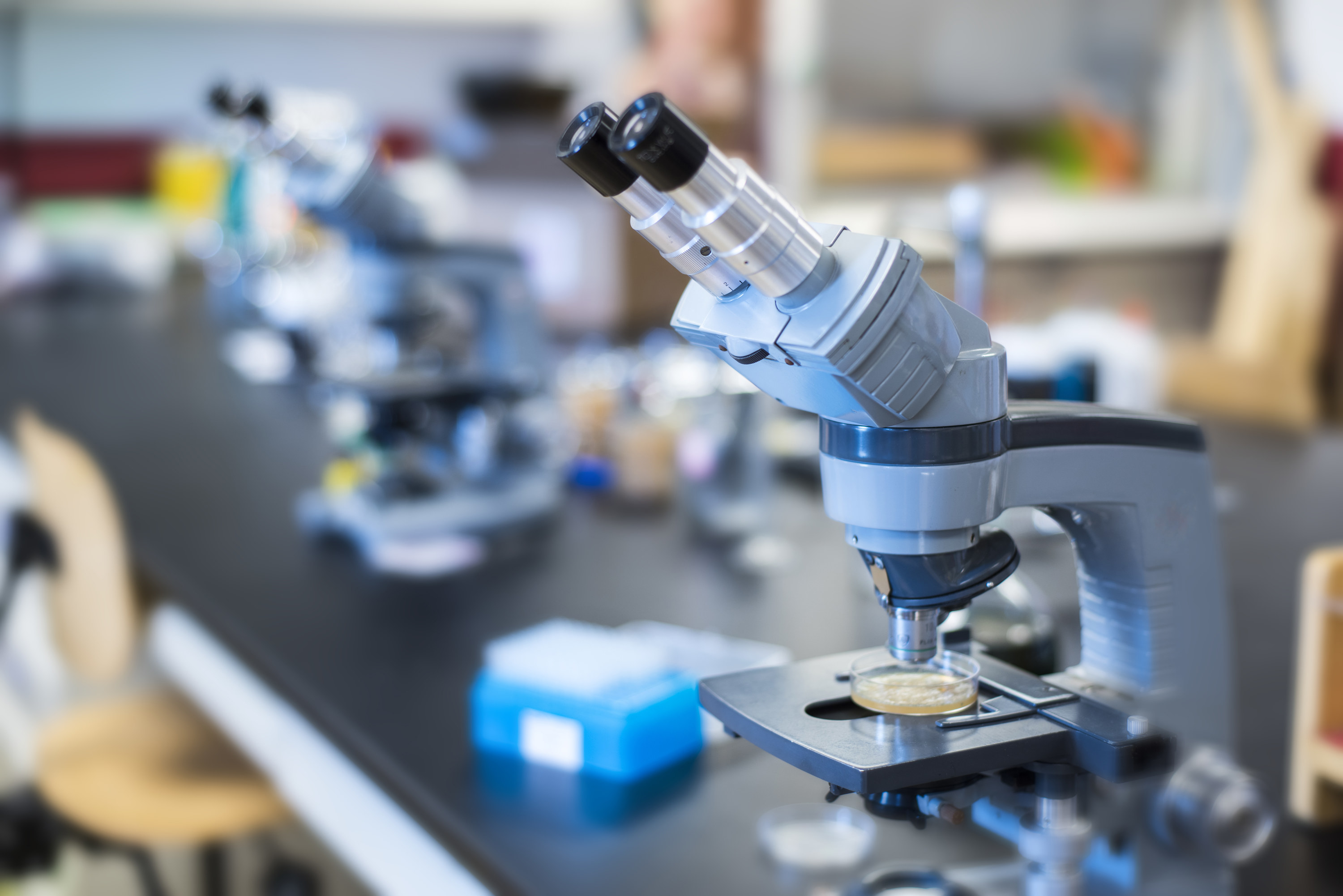 microscopes in a biology classroom