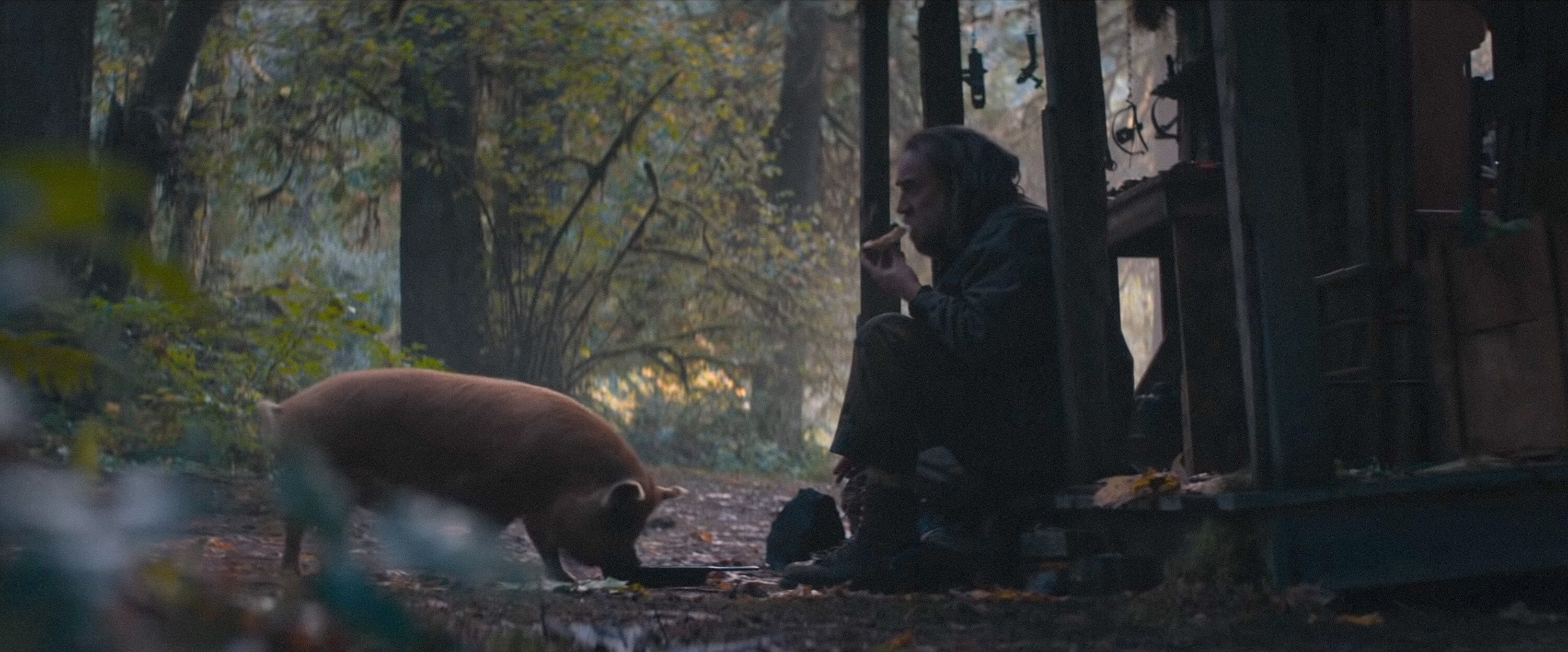 A white man sits on a porch of a run-down cabin he feeds a pig