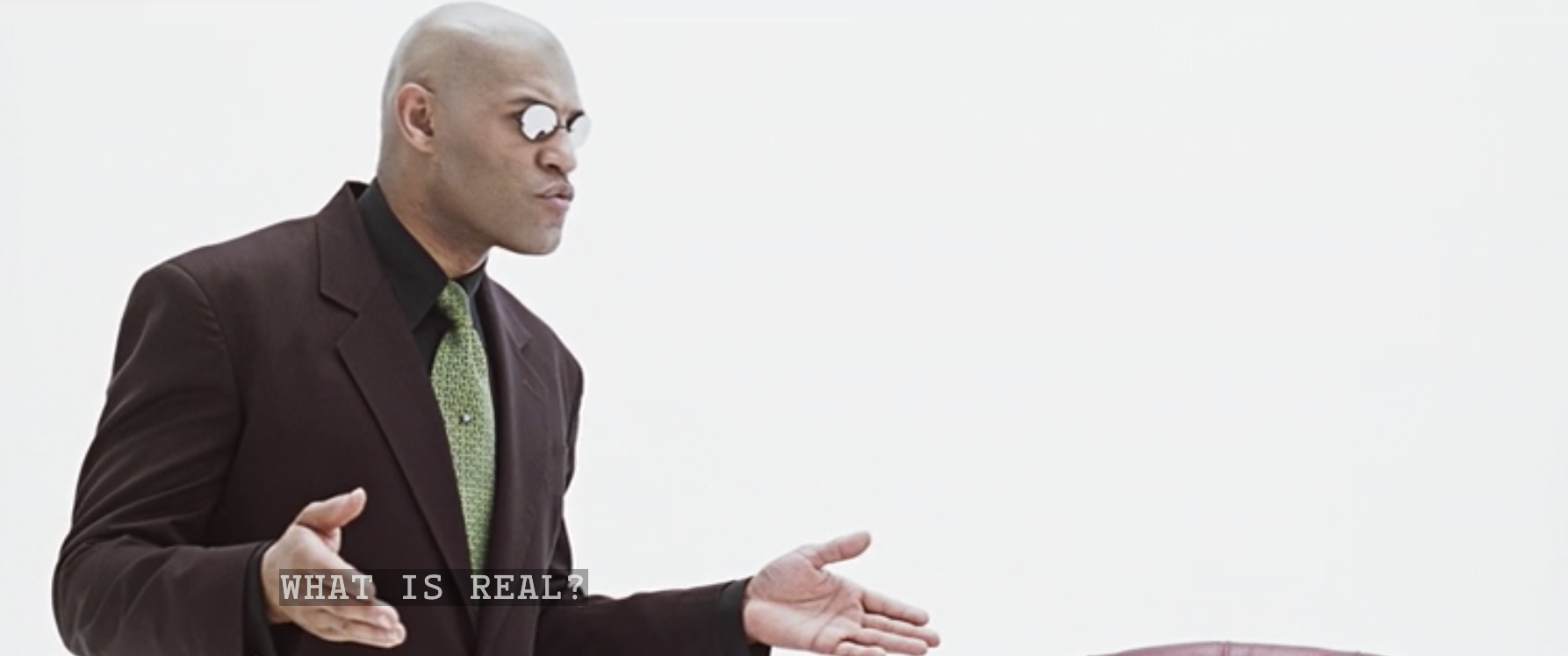Morpheus asking "what is real"