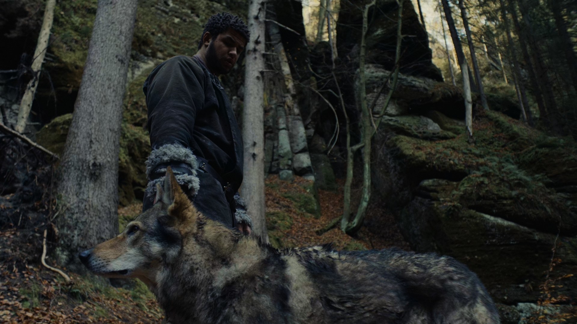 A low-angle shot that shows a grey-pelted wolf standing nonchalantly beside Perrin, who looks down wonderingly at the wolf who does not seem to wish to hurt him