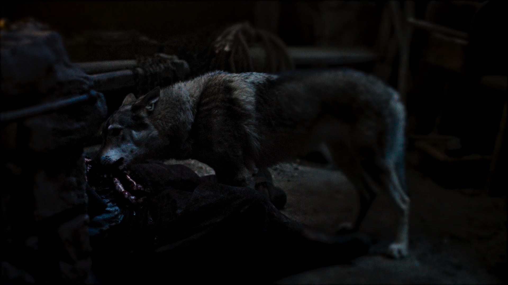 An unfocused, dark shot of a wolf chewing on the intestines of Laila Aybara (Helena Westerman) as she sits on the floor of Perrin and Laila’s forge.