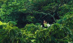 ID: Katniss Everdeen from the Hunger Games appears in the middle of a forest