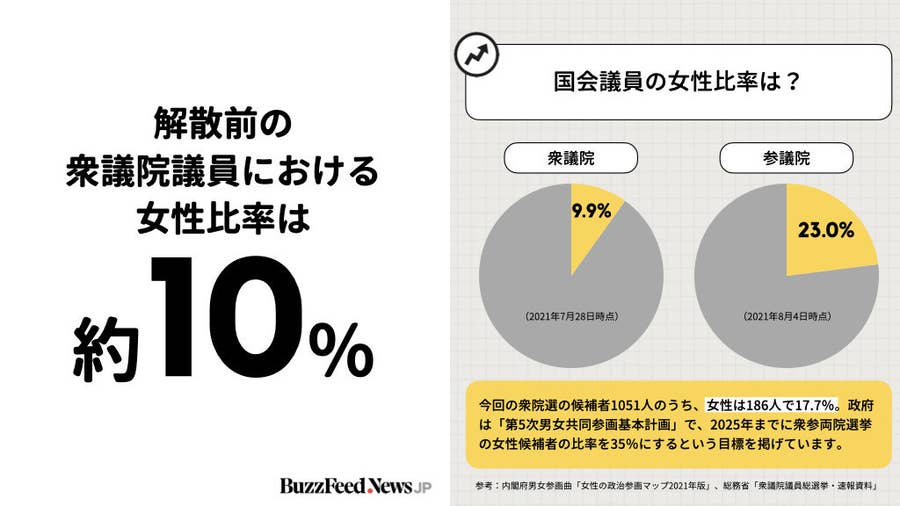 毎日写真見てます ストッキング売って 選挙で女性候補者を襲う 票ハラ とは 21年回顧