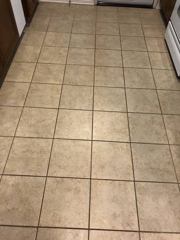 reviewer before image of dirty tile floor and grout
