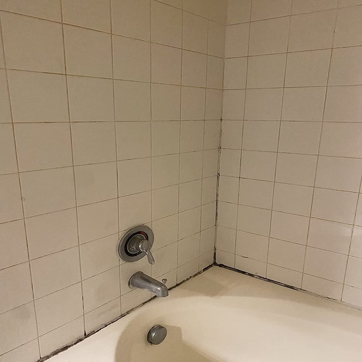 reviewer before image of mildew build up in grout of bathtub
